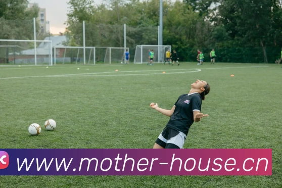 九游体育app官网首页发展历程